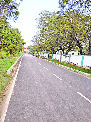 కలెక్టరేట్లో కొత్తగా వేసిన తారు రోడ్డు2