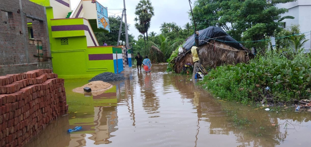 Heavy rains in Nellore District Photos - Sakshi27