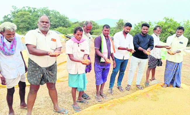 తడిసిన ధాన్యాన్ని చూపుతున్న రైతులు
1