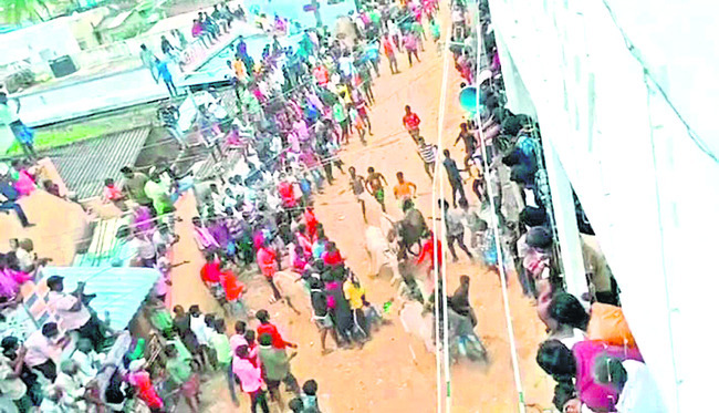 దూసుకుపోతున్న కోడె గిత్తలు
1
