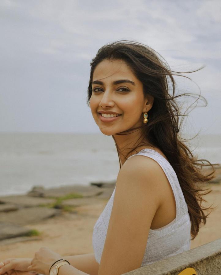 Meenakshi Chaudhary Stunning Photoshoot Photos - Sakshi7