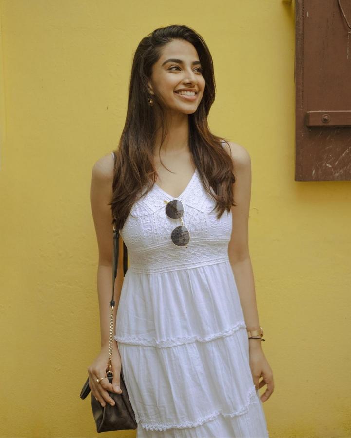 Meenakshi Chaudhary Stunning Photoshoot Photos - Sakshi12
