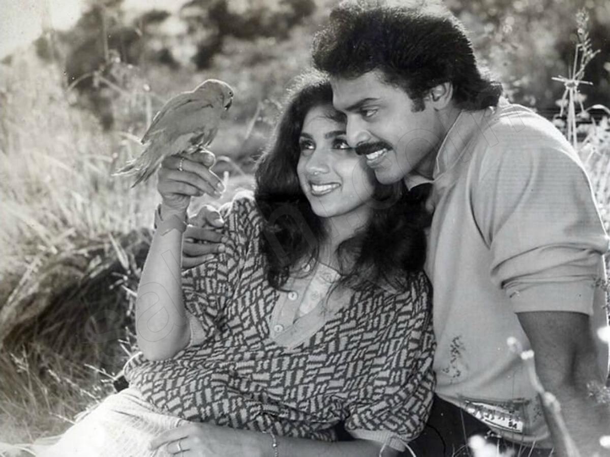 Venkatesh Daggubati Unseen Rare Photos Photos - Sakshi10