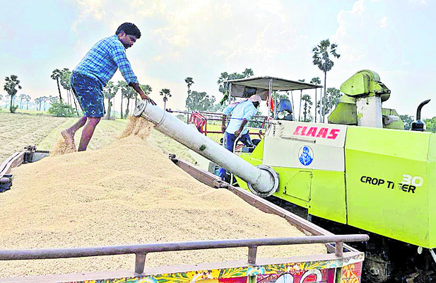 భట్టిప్రోలులో హార్వెస్టర్ ద్వారా కోసిన పంటను ట్రాక్టర్లో నింపుతున్న దృశ్యం 3