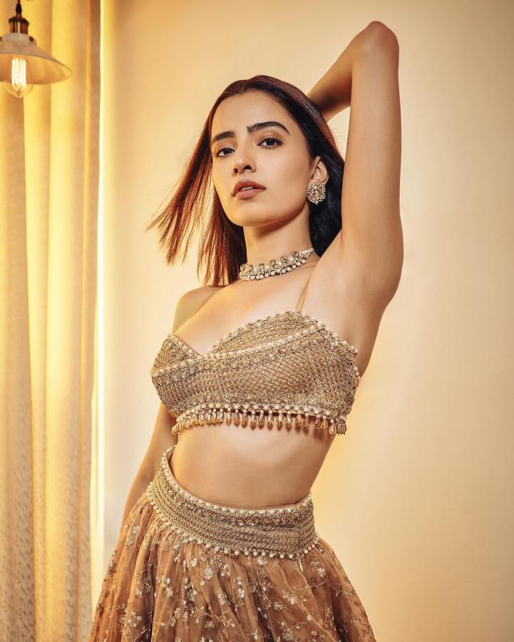 Rukshar Dhillon Blossoming Beauty With Her Photos  - Sakshi12