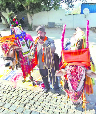 మెదక్లో గంగిరెద్దులతో బసవన్న6