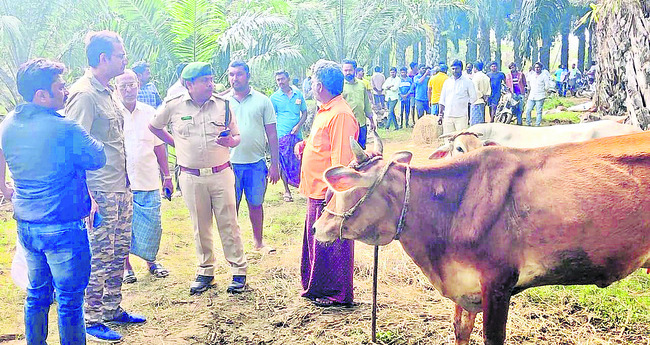 దేవినేనివారిగూడెంలో రైతులతో మాట్లాడుతున్న అటవీ అధికారులు 1