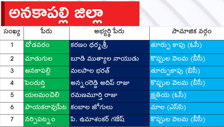 CM Jagan Announced YSRCP Final List Of Candidates For AP Assembly Elections 2024, Photos Inside - Sakshi6
