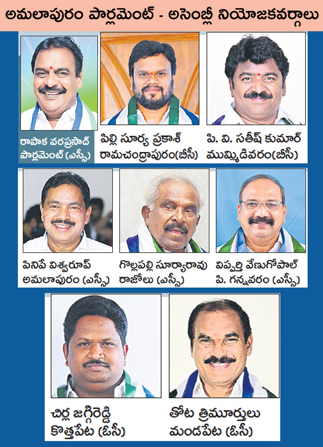YSRCP 25 Lok Sabha Seats, 175 Assembly Constituencies In AP - Sakshi8
