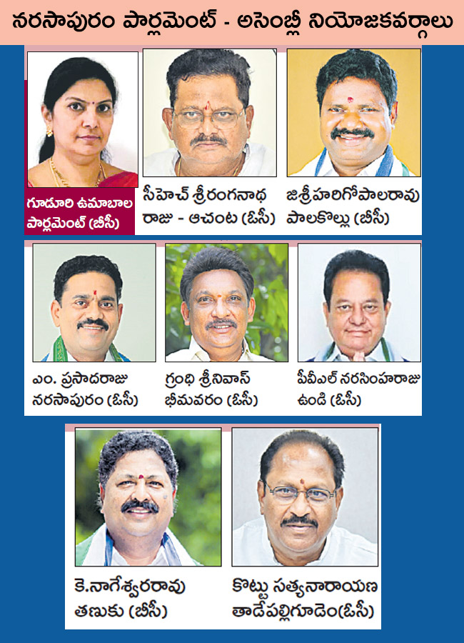 YSRCP 25 Lok Sabha Seats, 175 Assembly Constituencies In AP - Sakshi10