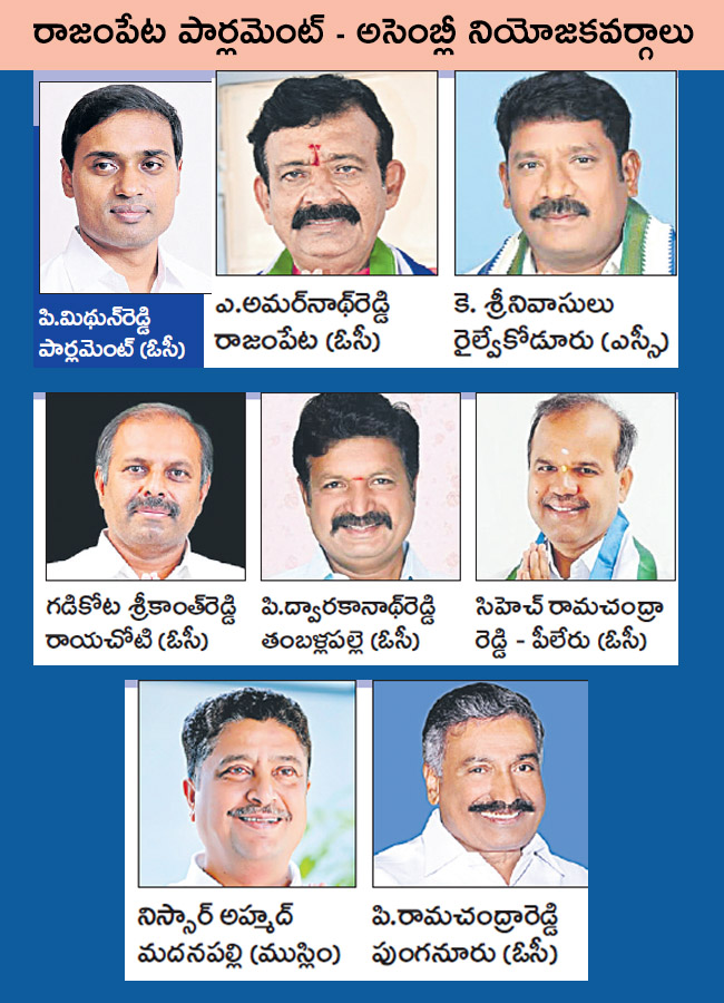 YSRCP 25 Lok Sabha Seats, 175 Assembly Constituencies In AP - Sakshi25