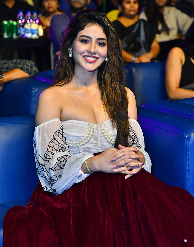 South Indian Film Festival Awards 2024 Photos - Sakshi19