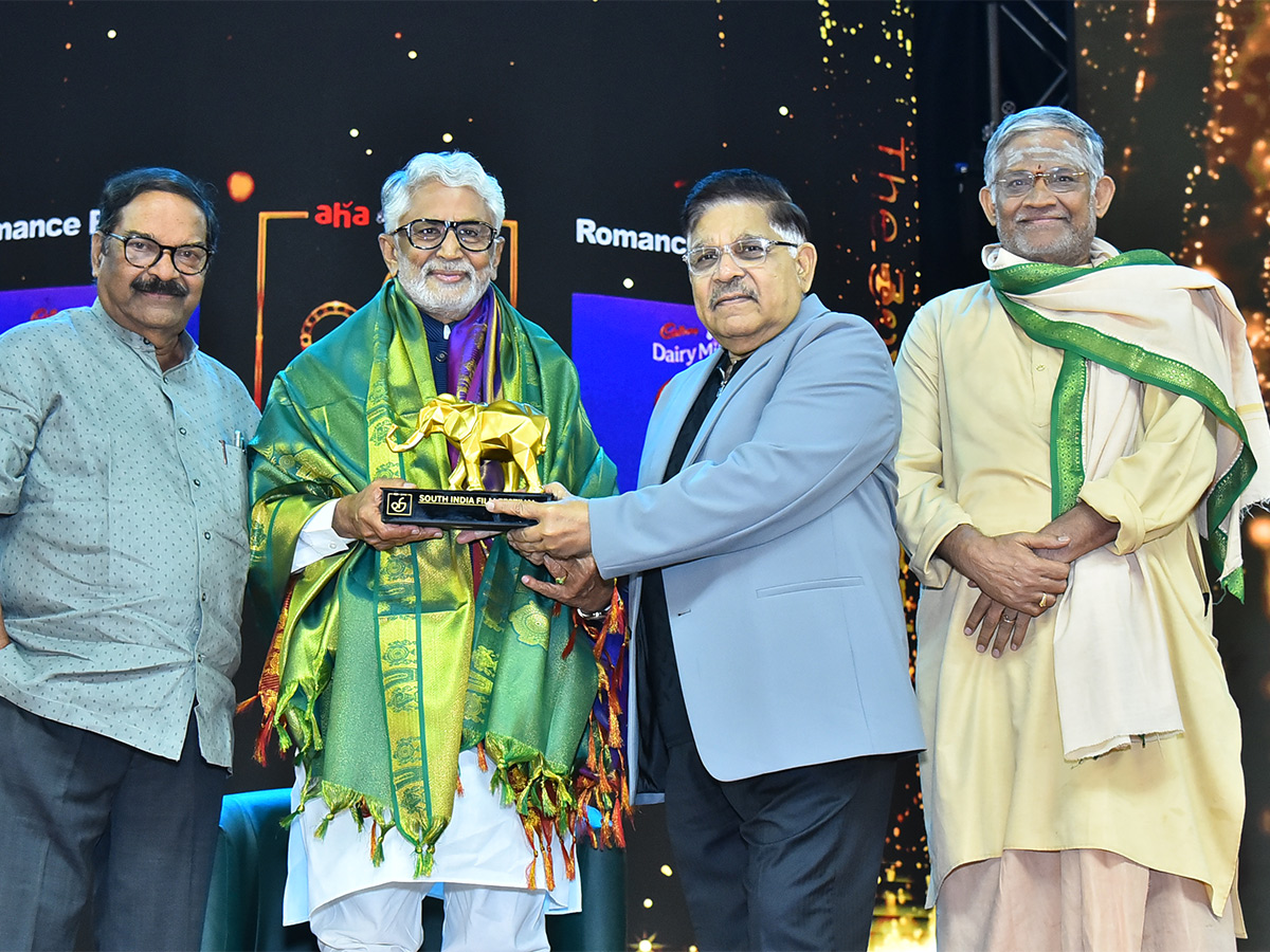 South Indian Film Festival Awards 2024 Photos - Sakshi29