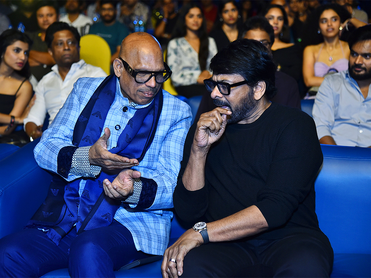 South Indian Film Festival Awards 2024 Photos - Sakshi9