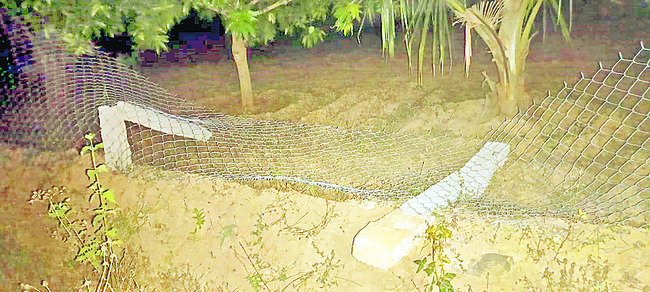 పెన్సింగ్ను ధ్వసం చేసిన ఏనుగుల గుంపు1