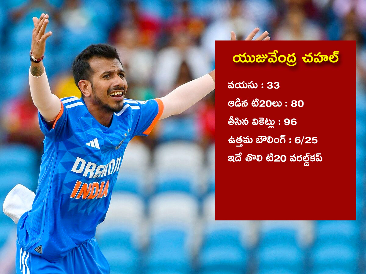 T20 World Cup Team India Players Full Bio Data And T20 Career Stats ...