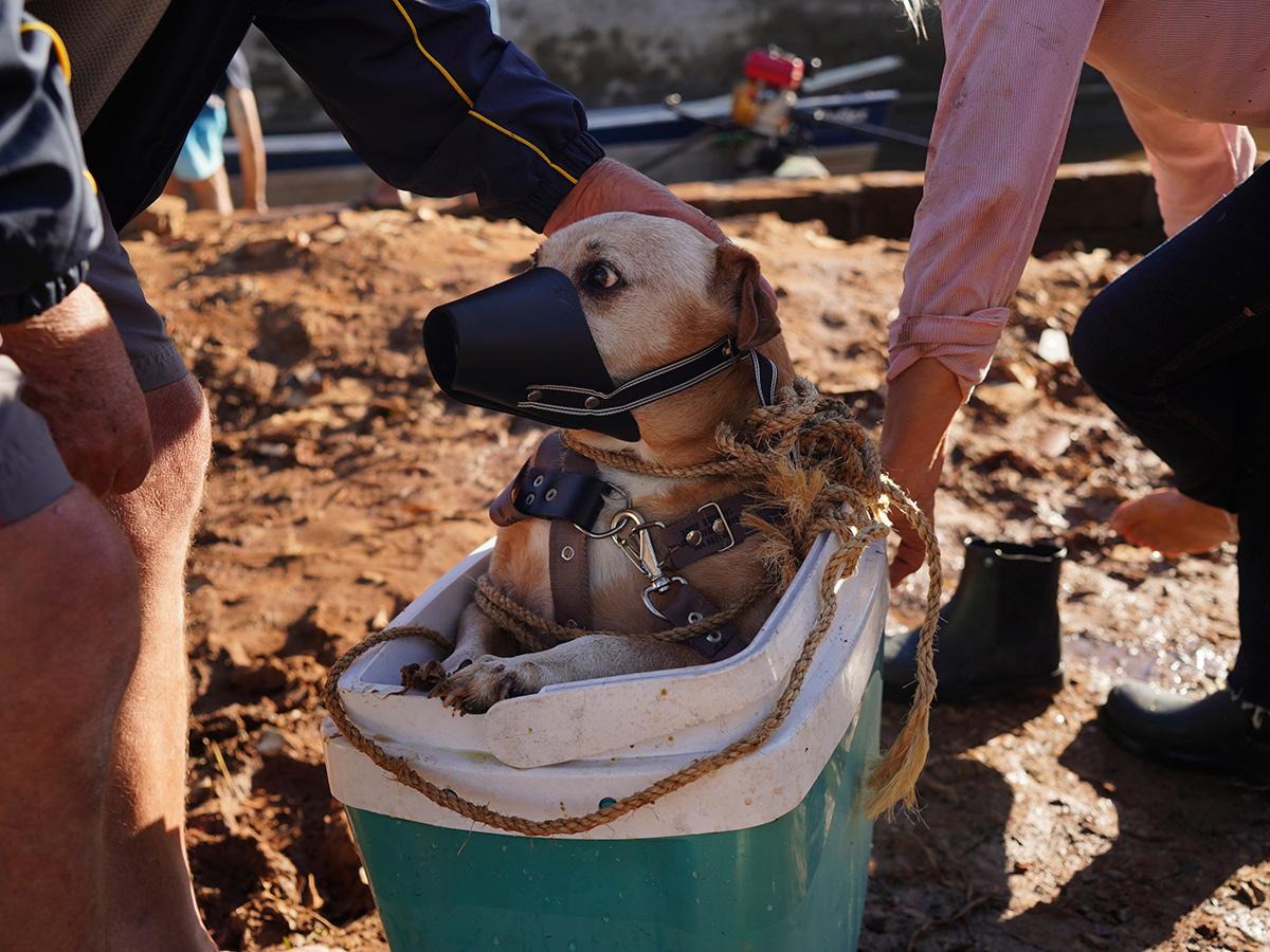 Brazil floods: Hundreds of Rio Grande do Sul towns under water photos25