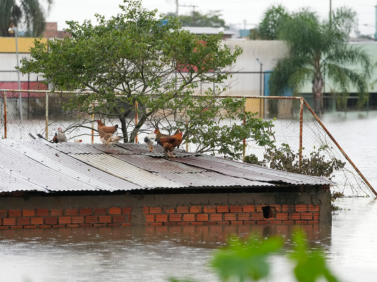 Brazil floods: Hundreds of Rio Grande do Sul towns under water photos37