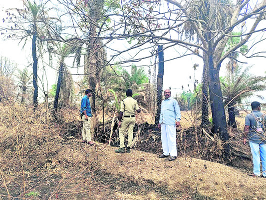 పెద్దంపేటలో ఈతవనం దహనం1