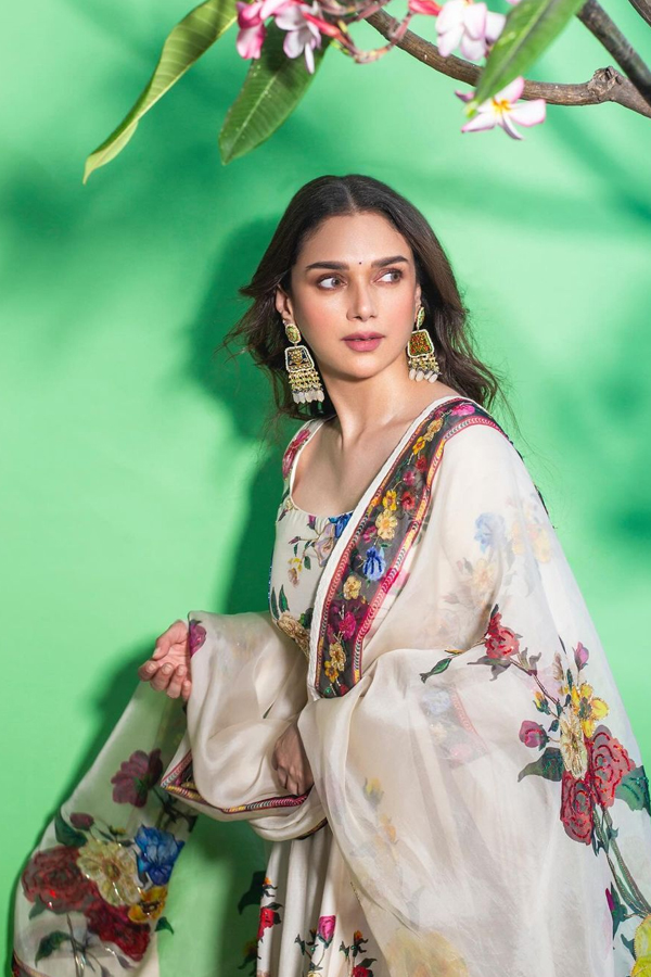 Mesmerizing Looks Of Aditi Rao Hydari Photos Goes Viral14