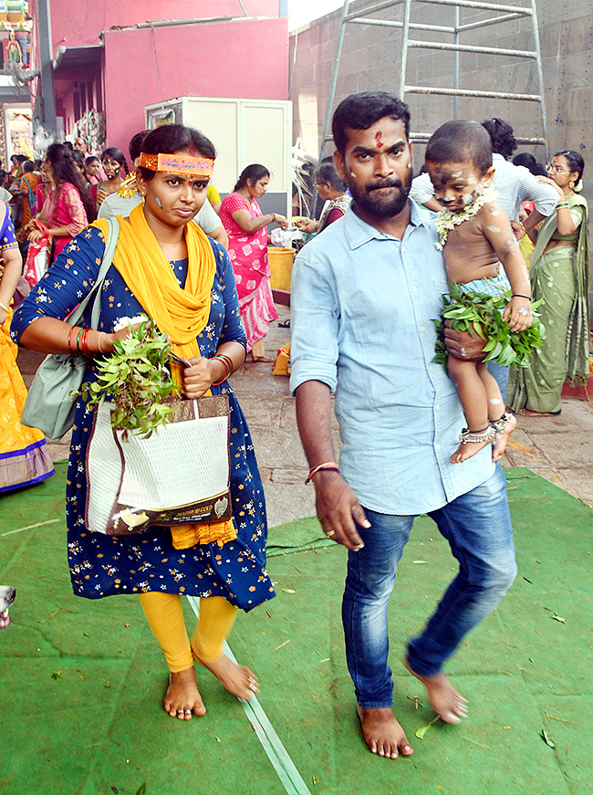 Tirupati Tataiahgunta Gangamma Jatara Photos 202429