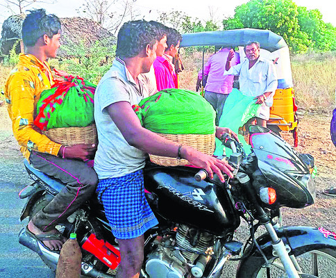 ఐస్ యాపిల్ 4