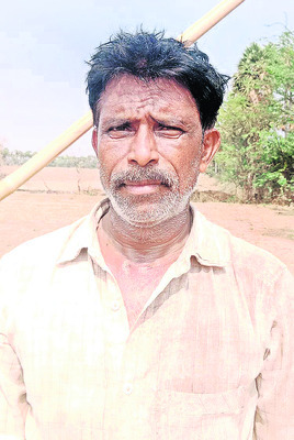 ఐస్ యాపిల్ 6