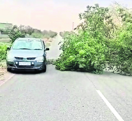 ఈదురుగాలుల బీభత్సం 1