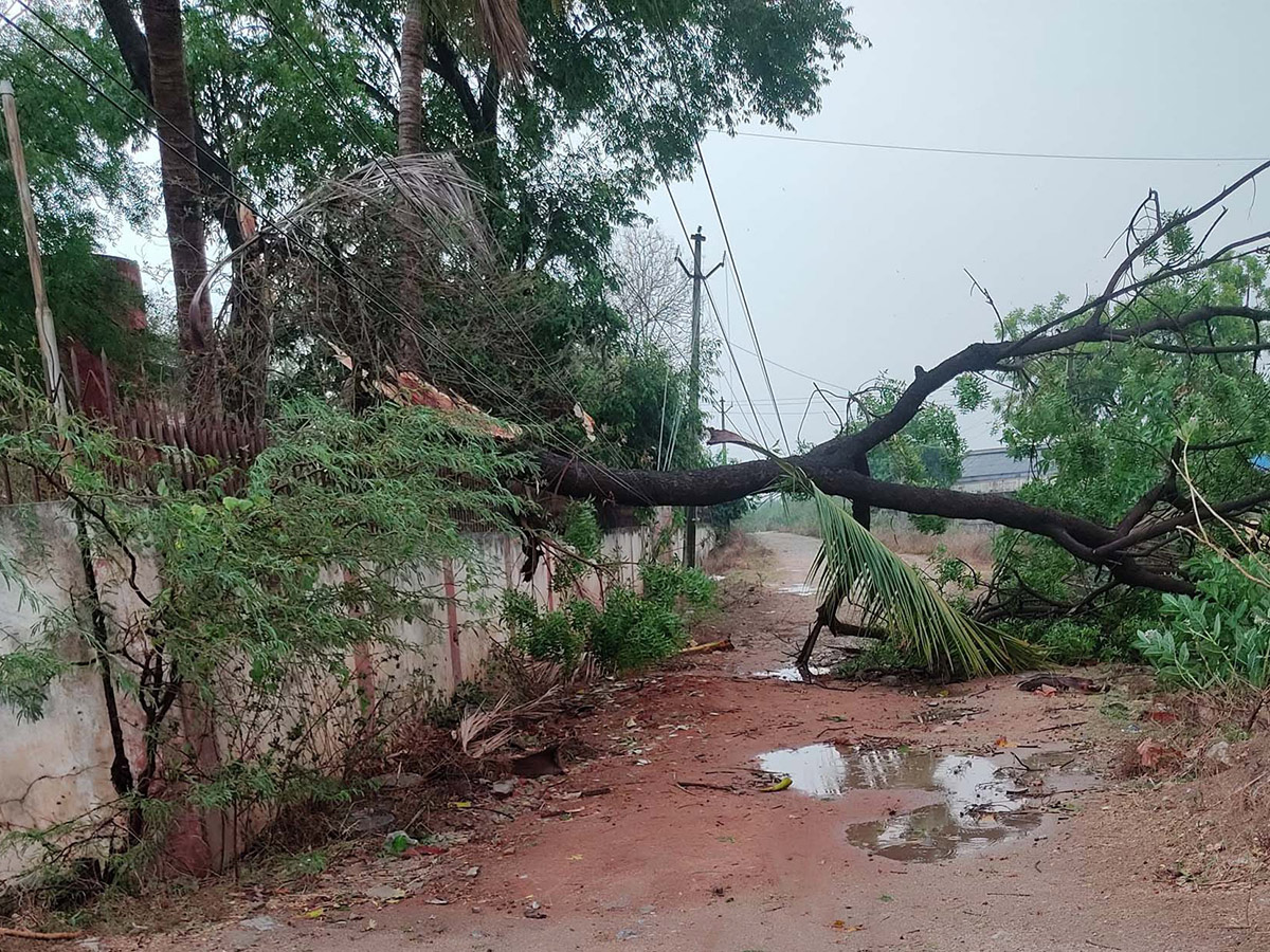 Heavy Rains In Nalgonda Photos14