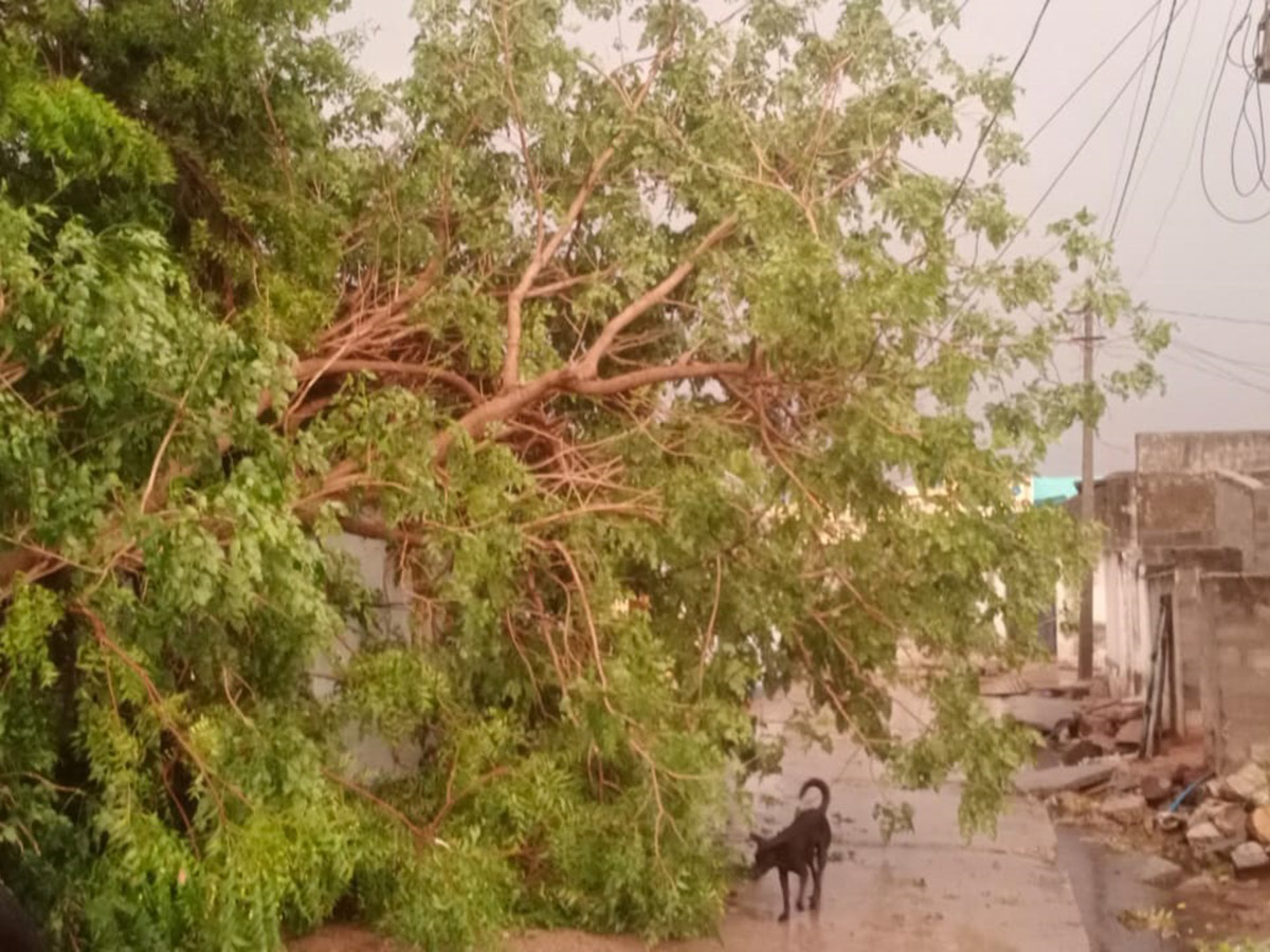 Heavy Rains In Nalgonda Photos19