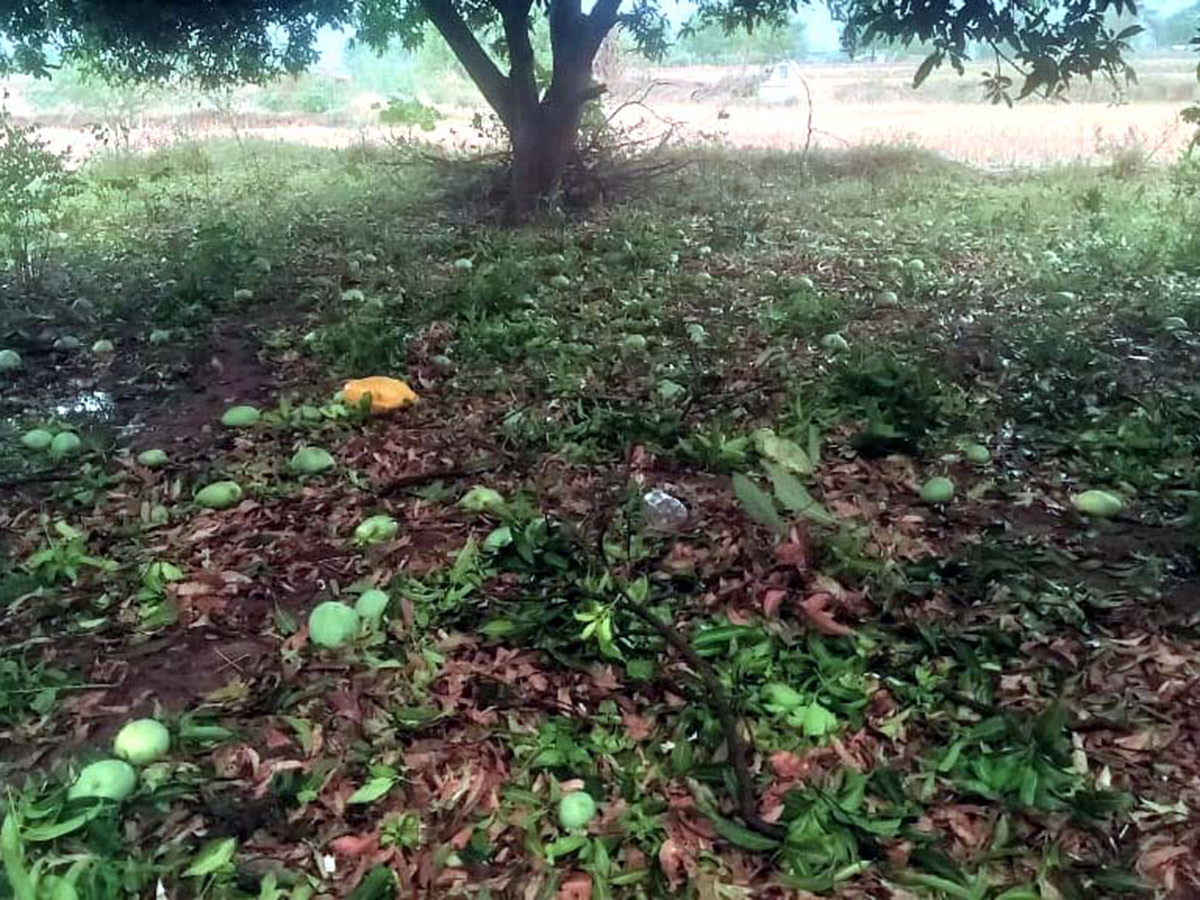 Heavy Rains In Nalgonda Photos24