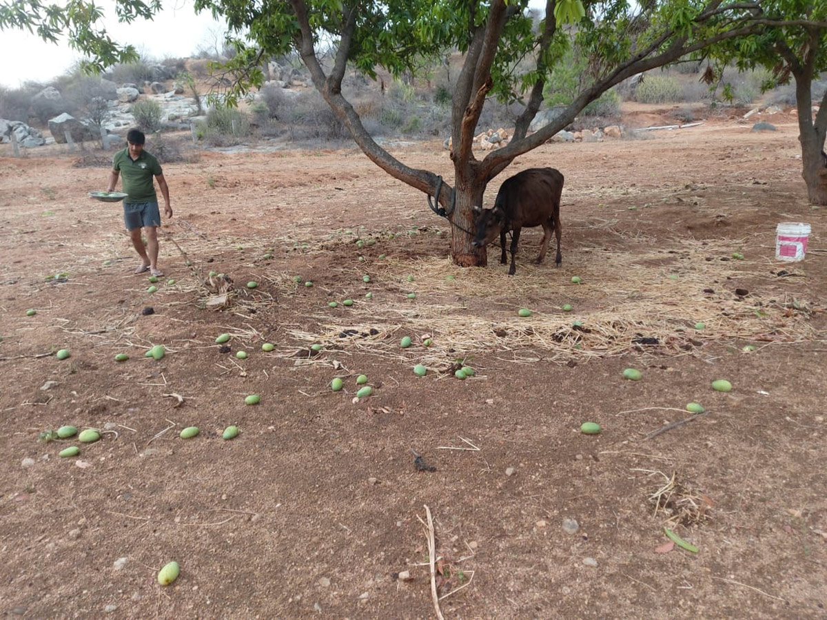 Heavy Rains In Nalgonda Photos7