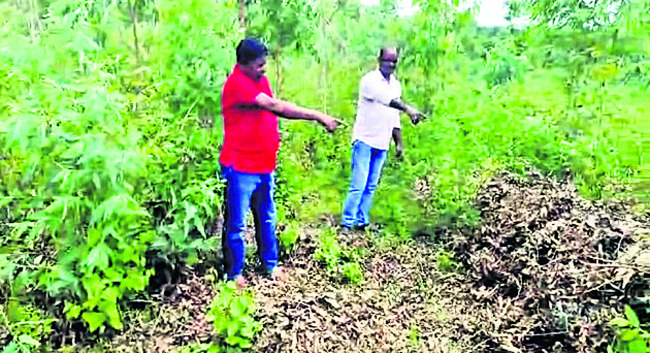 మాజీ గవర్నర్ భండారే కన్నుమూత 1