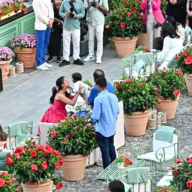 Celebrities In Anant Ambani-Radhika Merchant Pre Wedding: Photos3