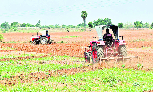 ఆశల సాగు..1