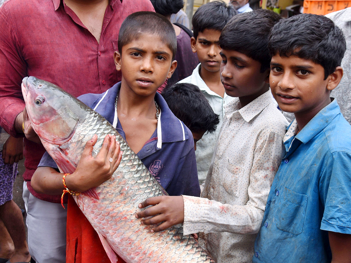 Huge Rush At Ramnagar Fish Market On The Eve Of Mrigasira Karthi: Photos2
