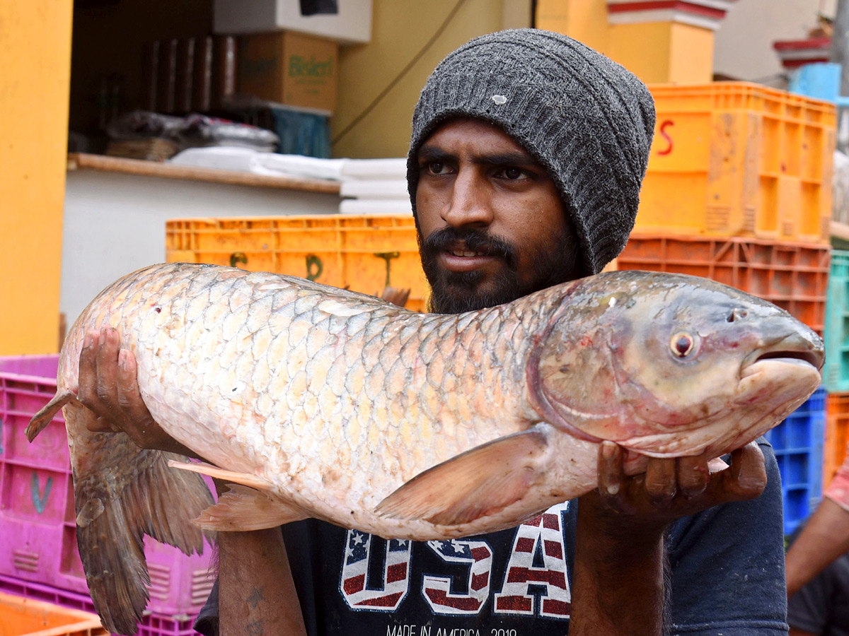 Huge Rush At Ramnagar Fish Market On The Eve Of Mrigasira Karthi: Photos3