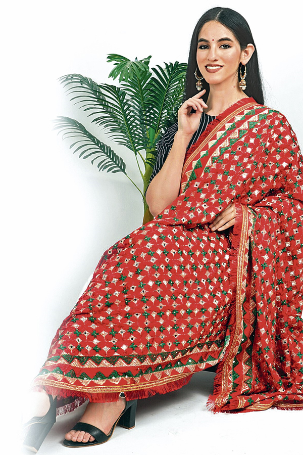 Have A look On These Punjabi Phulkari Embroidery Designs 2