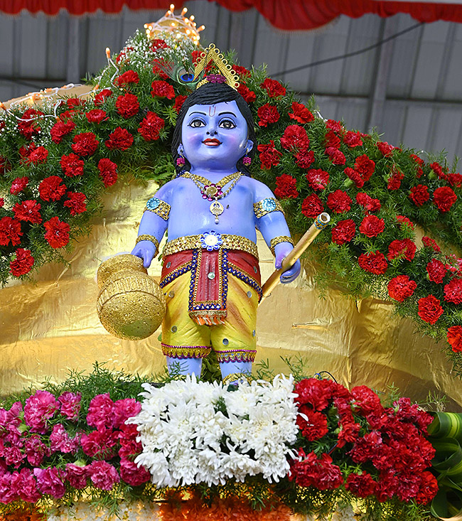 Pushpa Pallaki Seva at Tirumala Photos26