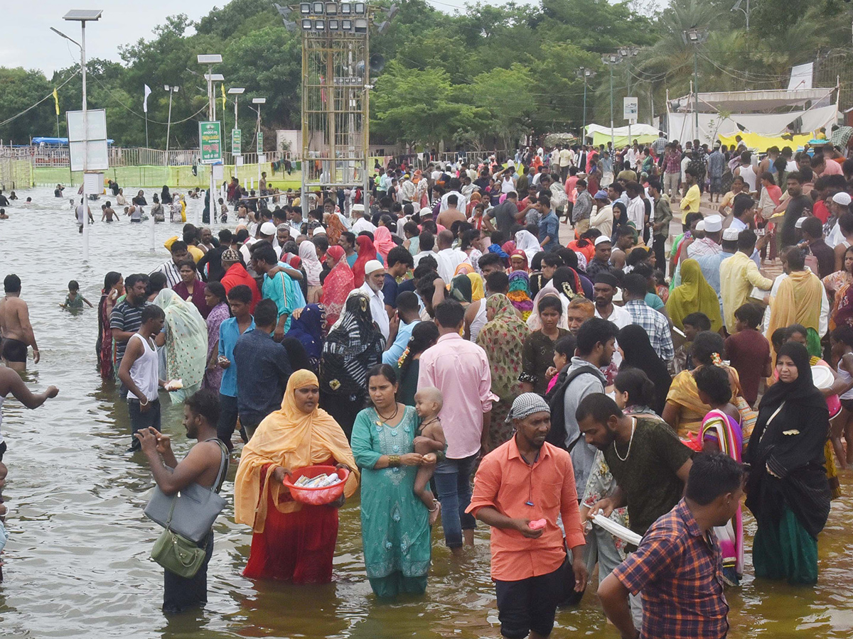 rottela panduga in nellore 2024 photos24