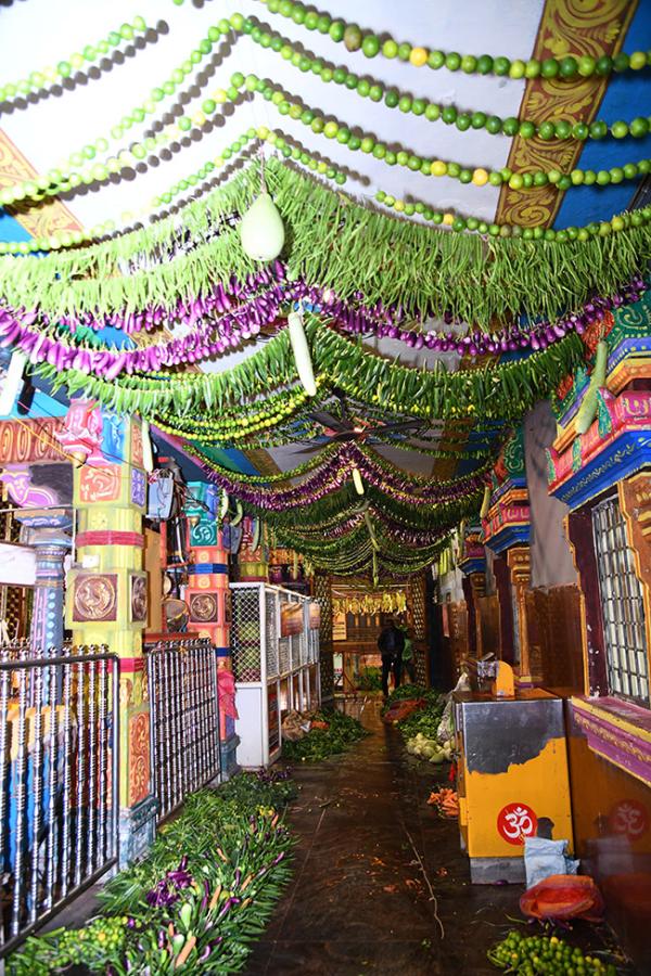 Shakambari festival 2024 at Vijayawada Kanaka Durga Temple Photos6