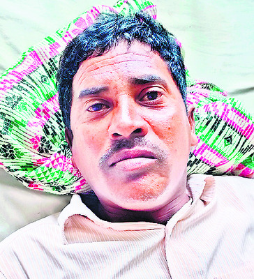 గ్రామ సింహాలతో గజగజ!2