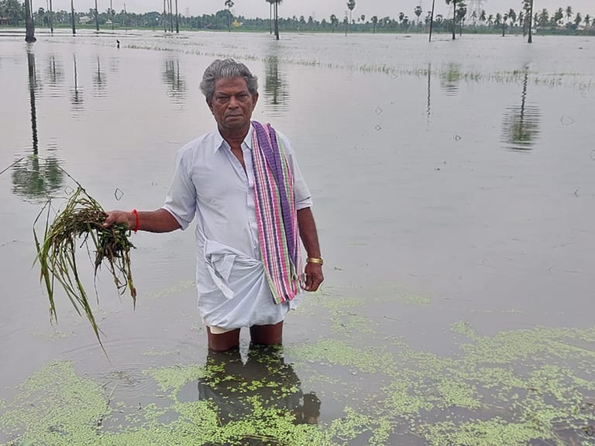 Heavy rains in konaseema districts photos16