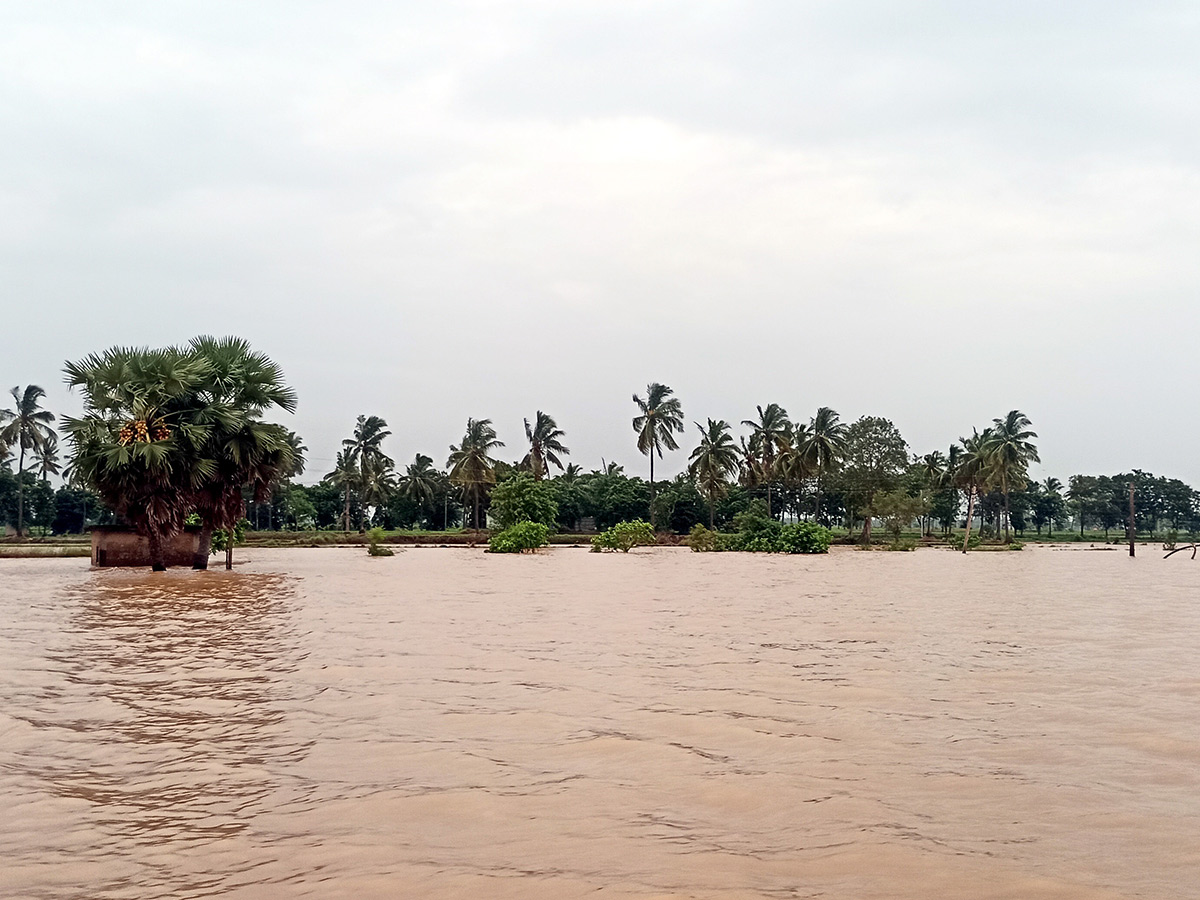 Heavy rains in konaseema districts photos9