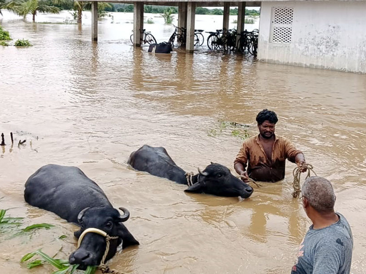 Rajahmundry : Godavari Flood Water in Konaseema District Photos24