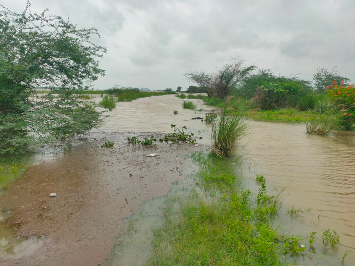 Rajahmundry : Godavari Flood Water in Konaseema District Photos30