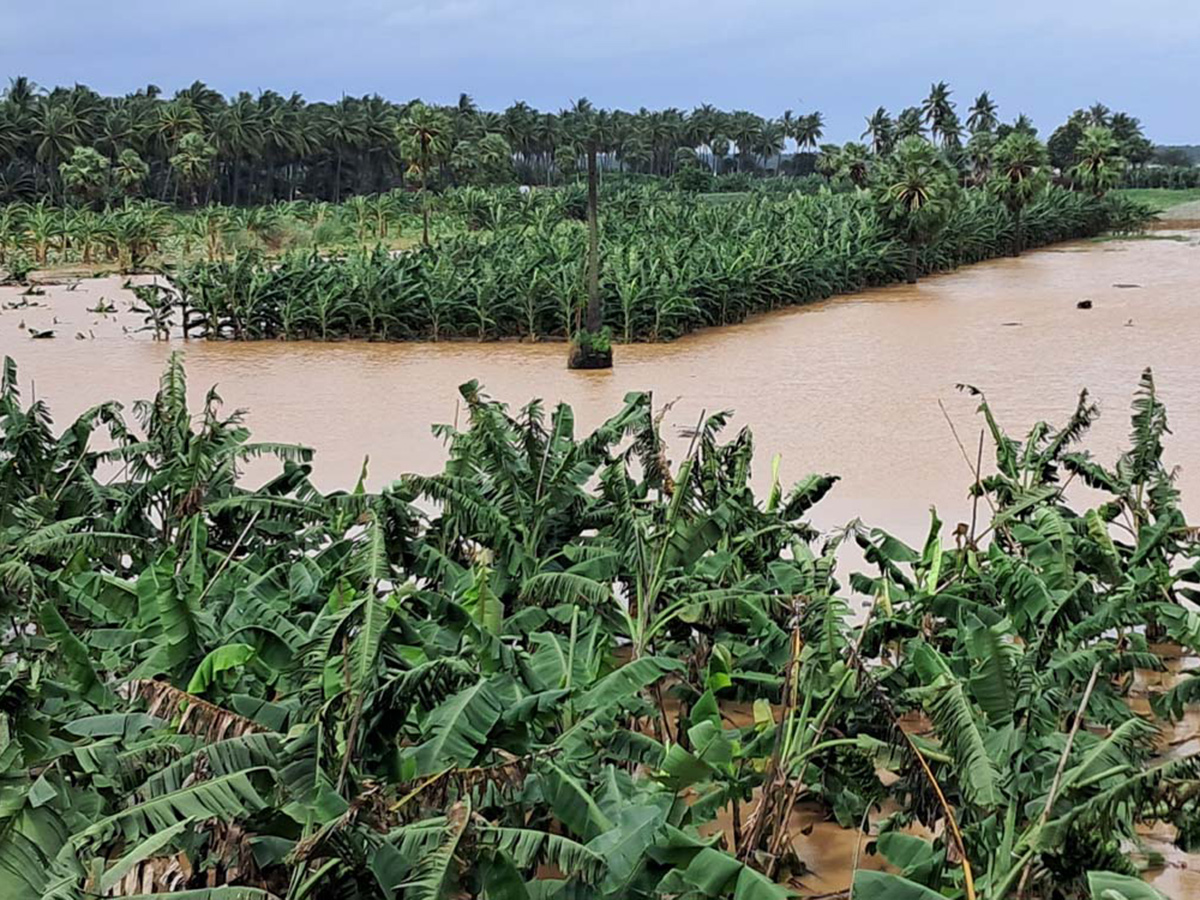 Rajahmundry : Godavari Flood Water in Konaseema District Photos34