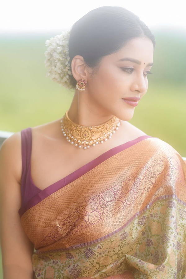 Beautiful Actress Nabha Natesh In Saree3