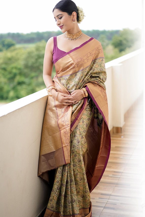 Beautiful Actress Nabha Natesh In Saree4