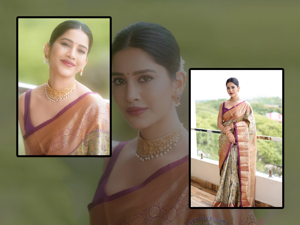 Beautiful Actress Nabha Natesh In Saree1